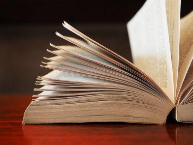 vintage hafif sesi renkte Defteri'ni