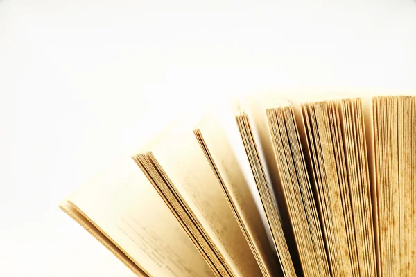 vintage hafif sesi renkte Defteri'ni