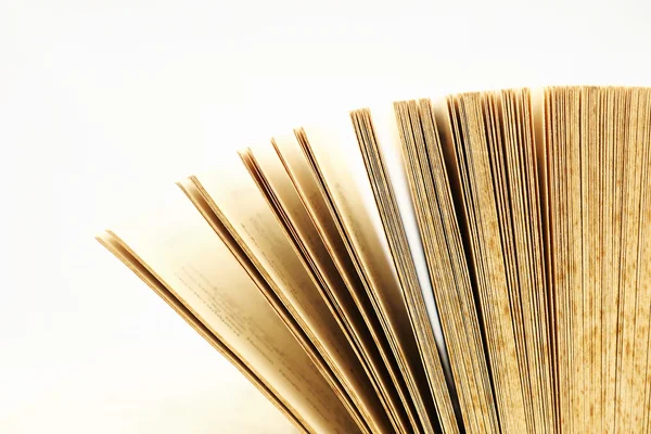 vintage hafif sesi renkte Defteri'ni