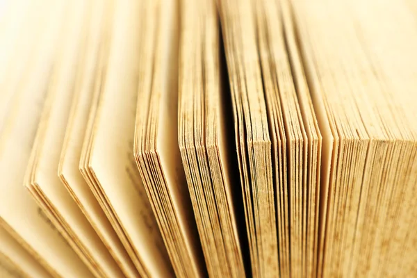 vintage hafif sesi renkte Defteri'ni