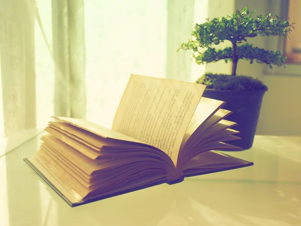 Coffee open book and small tree — Stock Photo, Image