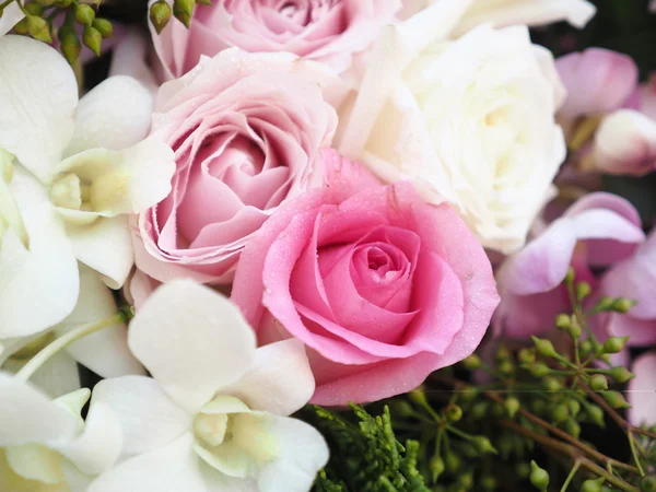 Pink rose in wedding day — Stock Photo, Image