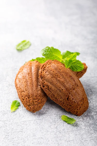 Biscoitos caseiros de chocolate Madeleine — Fotografia de Stock