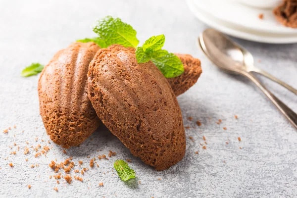 Homemade chocolate cookies Madeleine — Stock Photo, Image