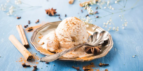 Scoop of homemade ice cream with cinnamon Royalty Free Stock Photos