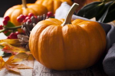 Sonbahar sakin bir hayat