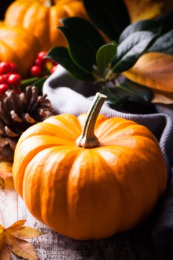 Sonbahar sakin bir hayat