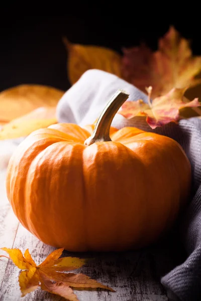 Autumn still life — Stock Photo, Image