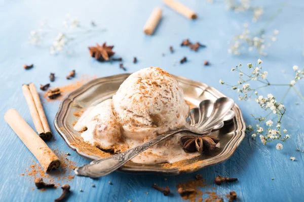 Scoop of homemade ice cream with cinnamon Stock Photo