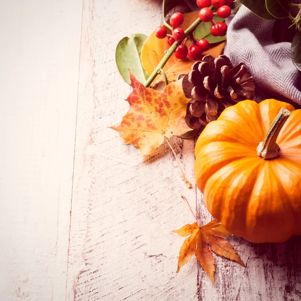 Autumn old wood background with pumpkin — Stock Photo, Image