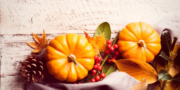 Autumn pumpkin background — Stock Photo, Image