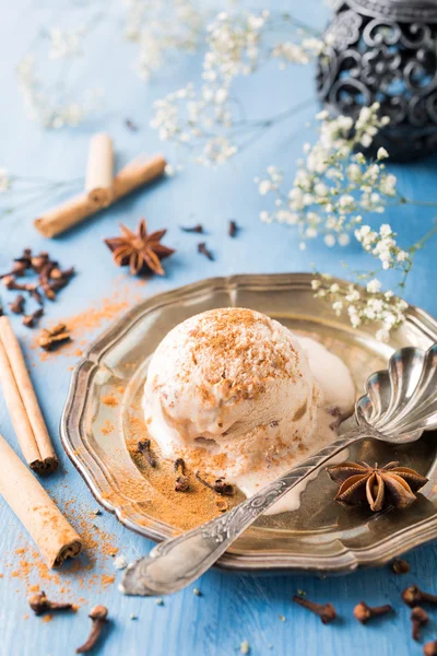 Scoop of homemade ice cream with cinnamon — Stock Photo, Image