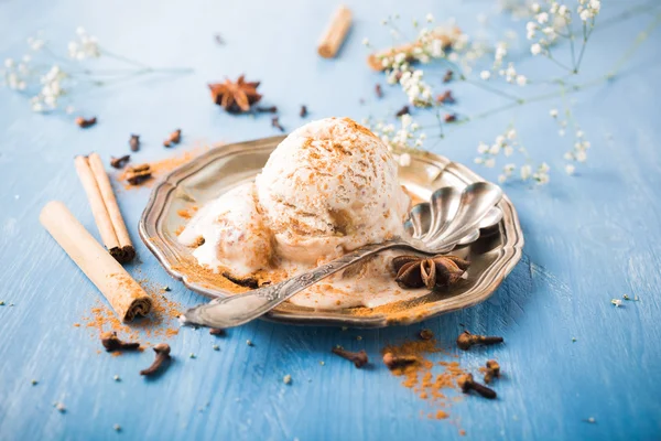 Scoop of homemade ice cream with cinnamon Stock Picture