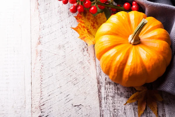 Autumn old wood background with pumpkin — Stock Photo, Image