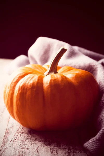 Autumn mini pumpkin — Stock Photo, Image