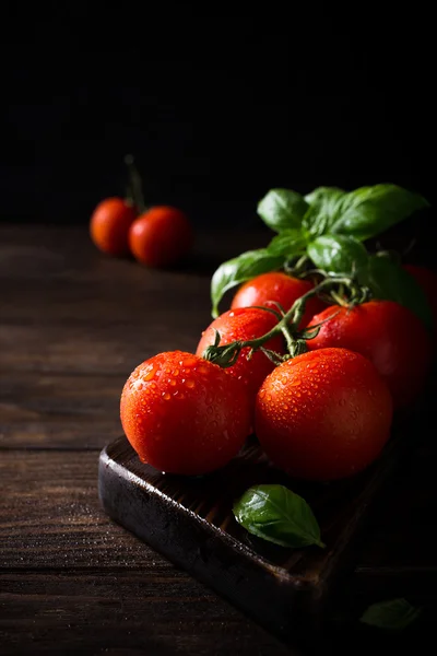 Ramo de tomates naturais maduros e folhas de manjericão — Fotografia de Stock