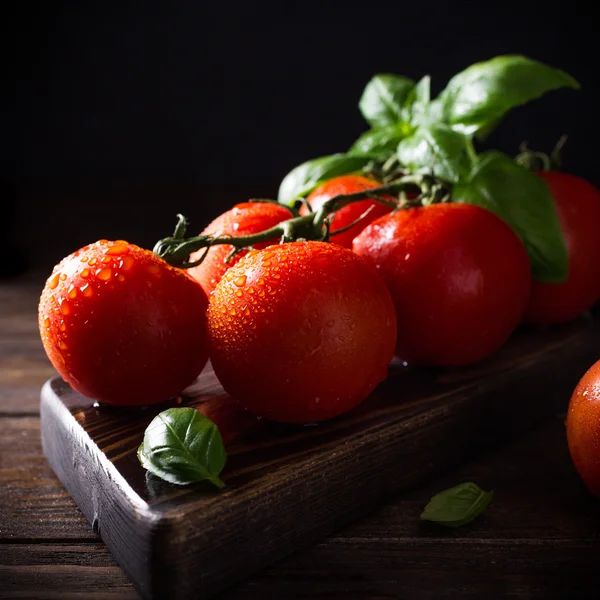 Ramo de tomates naturais maduros e folhas de manjericão — Fotografia de Stock