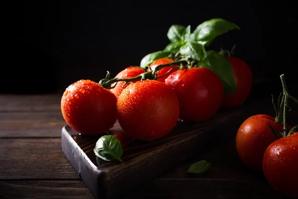 Ramo de tomates naturais maduros e folhas de manjericão — Fotografia de Stock