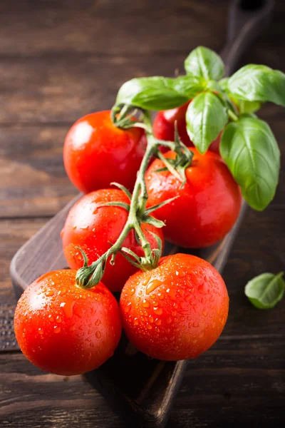 Rama de tomates naturales maduros y hojas de albahaca —  Fotos de Stock