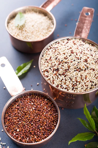 Gemischte rohe Quinoa — Stockfoto