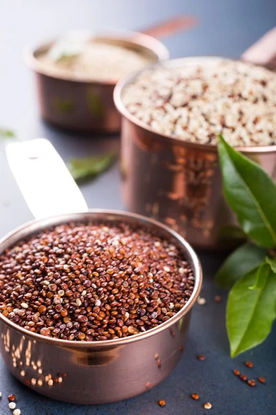 Gemischte rohe Quinoa — Stockfoto
