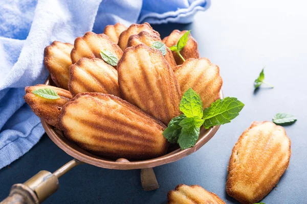 Biscoitos caseiros de anis Madeleine — Fotografia de Stock