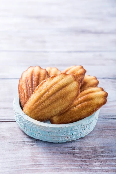 Anyż domowe ciasteczka Madeleine — Zdjęcie stockowe