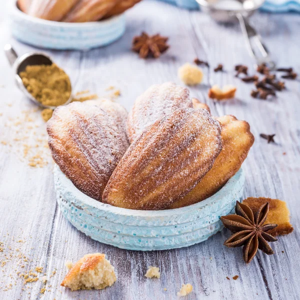 Biscoitos caseiros de anis Madeleine — Fotografia de Stock