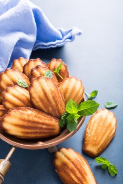 Ev yapımı anason çerezleri Madeleine