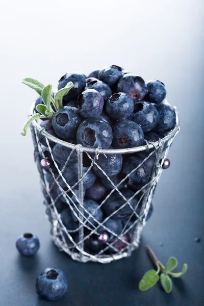 Freshly picked blueberries in metallic cup — Stock Photo, Image