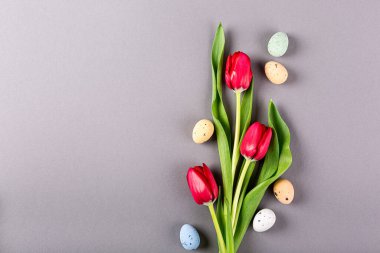 Gri arkaplanda pembe laleler