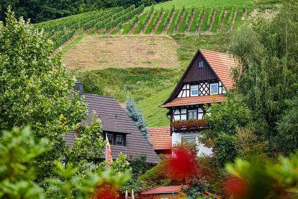 Typischer Blick ins Sasbachwalder Tal — Stockfoto