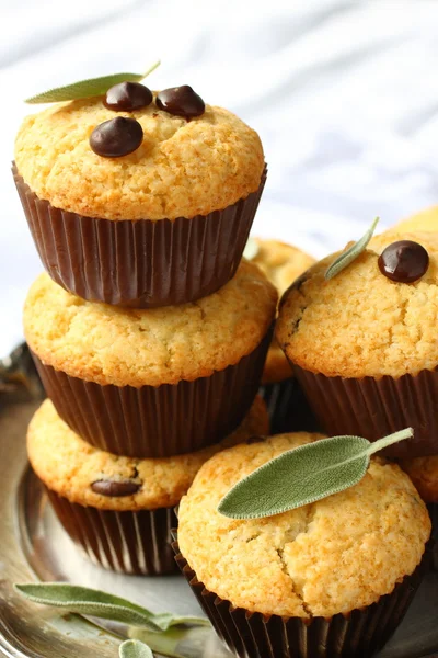 Deliziosi muffin senza glutine fatti in casa con gocce di cioccolato — Foto Stock