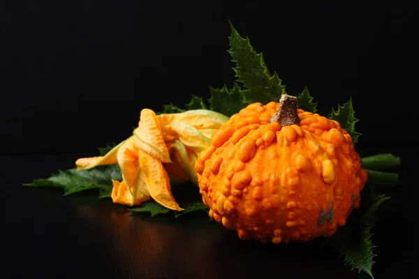 Autumn mini pumpkin with green leafs over black — Stock Photo, Image