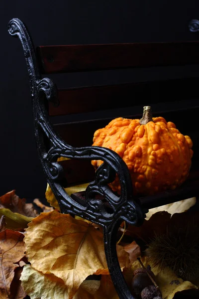 Autumn mini pumpkin on small bench over black — Stock Photo, Image