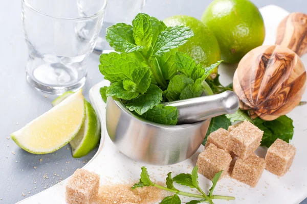 Ingredients for making mojitos — Stock Photo, Image