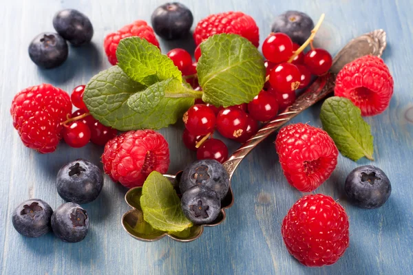 Berries mix with mint — Stock Photo, Image