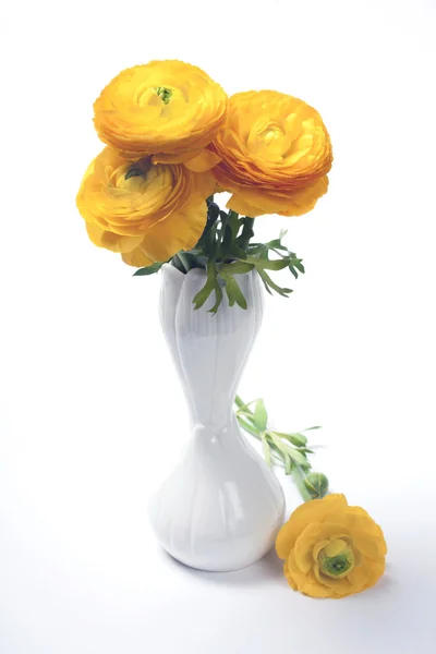 Bukett av gule persiske smørkålblomster, Ranunculus – stockfoto