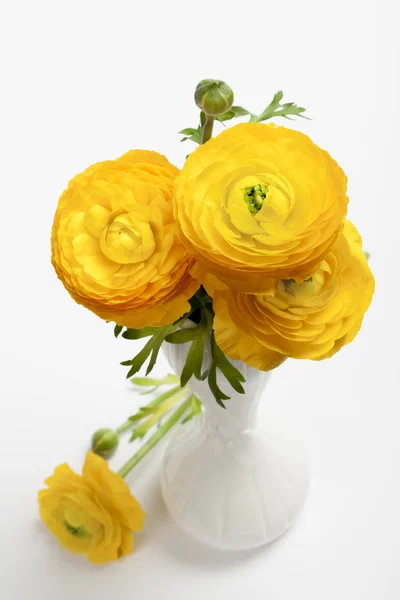 Bukiet kwiatów żółty Jaskier-Perski — Zdjęcie stockowe