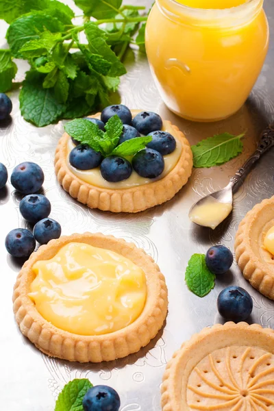 Törött tartlet lime-túró és a fekete áfonya — Stock Fotó