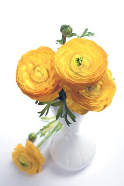 Sarı tipik güzel bahar buket