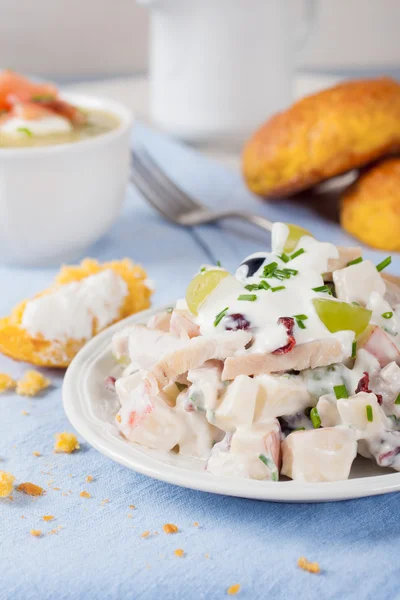 Chicken salad with grapes, apples and cranberries — Stock Photo, Image