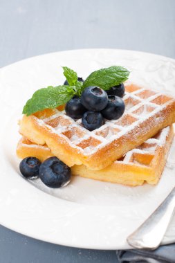 Blueberris ile lezzetli waffle