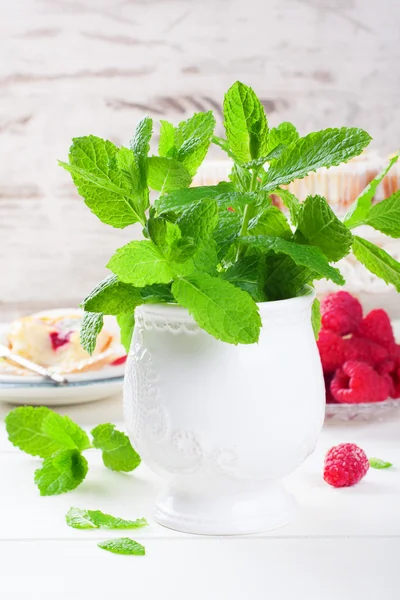 Frische Minze in weißer Vase — Stockfoto