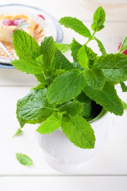 Beyaz vazo içinde taze nane
