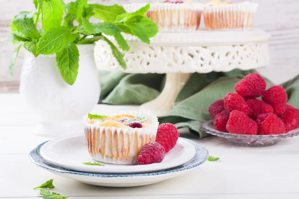 Ricotta mini cheesecake med färska hallon — Stockfoto