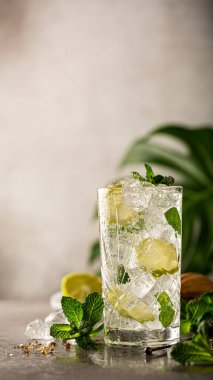 Buzlu ve doğal elementlerle çevrili ferahlatıcı bir kokteyl ve limonla dolu uzun bardak canlı bir atmosfer yaratır.