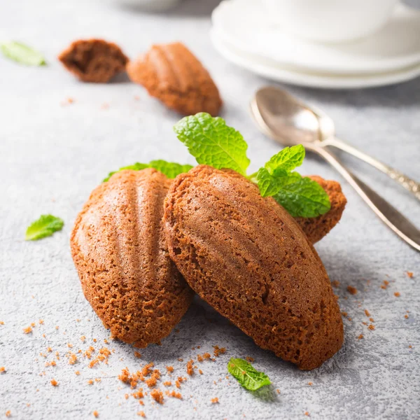 Biscoitos caseiros de chocolate Madeleine — Fotografia de Stock