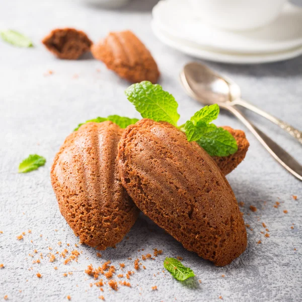 Biscotti al cioccolato fatti in casa Madeleine — Foto Stock