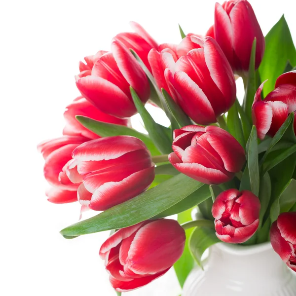Bouquet di tulipani rosa in vaso sullo sfondo bianco — Foto Stock